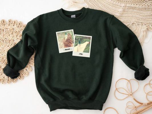 Sedona - Screen Printed Sweatshirt